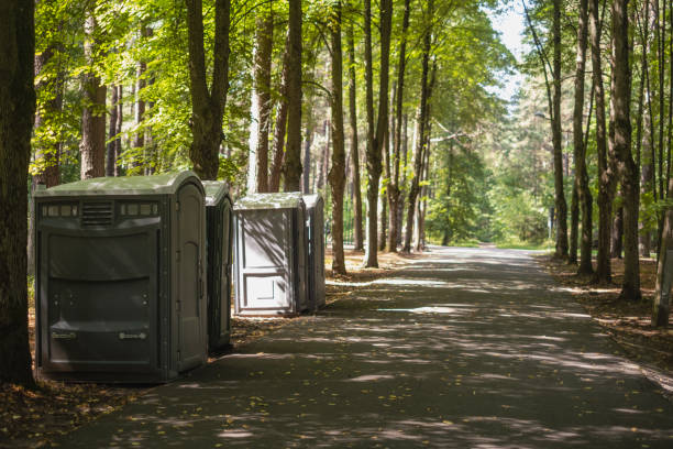 Best Porta potty rental near me  in Big Rapids, MI
